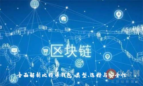 全面解析比特币钱包：类型、选择与安全性