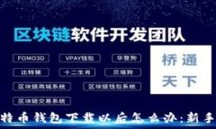   : 比特币钱包下载以后怎么办：新手指南