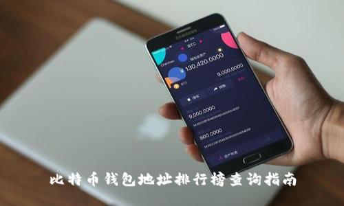 比特币钱包地址排行榜查询指南