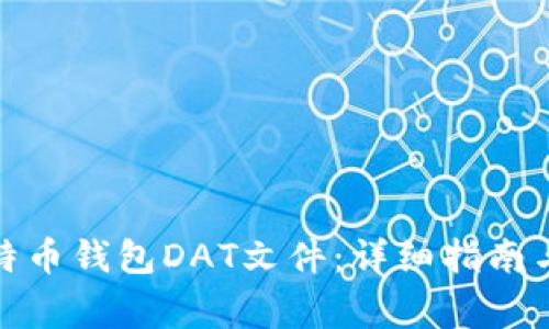 : 如何打开比特币钱包DAT文件：详细指南与常见问题解答