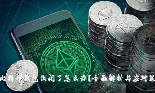 : 比特币钱包倒闭了怎么办？全面解析与应对策略