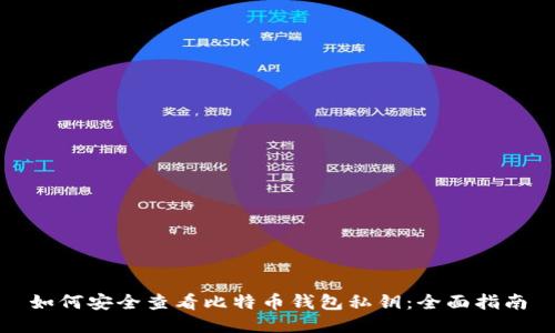 如何安全查看比特币钱包私钥：全面指南