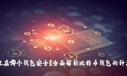 比特币放在哪个钱包安全？全面解析比特币钱包的种类与选择