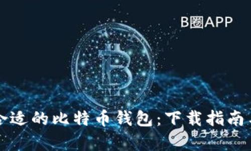 如何选择合适的比特币钱包：下载指南与选项解析