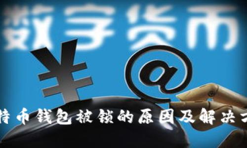 比特币钱包被锁的原因及解决方案