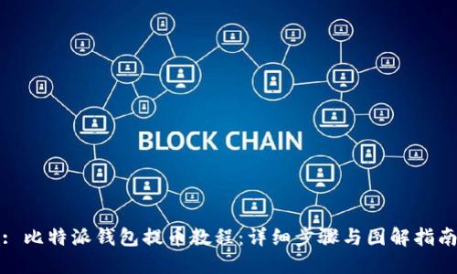 : 比特派钱包提币教程：详细步骤与图解指南