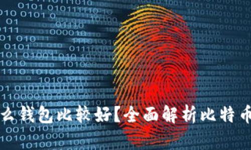 比特币放什么钱包比较好?全面解析比特币钱包的选择