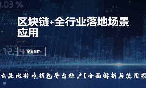 什么是比特币钱包平台账户？全面解析与使用指南
