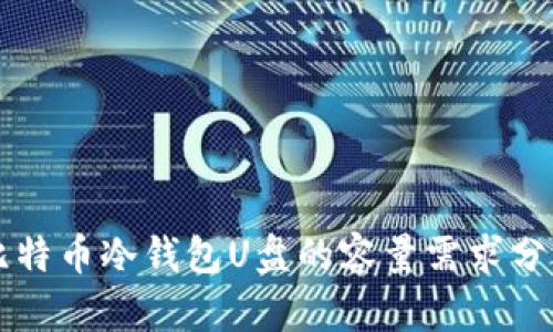 比特币冷钱包U盘的容量需求分析