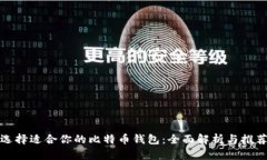 选择适合你的比特币钱包：全面解析与推荐