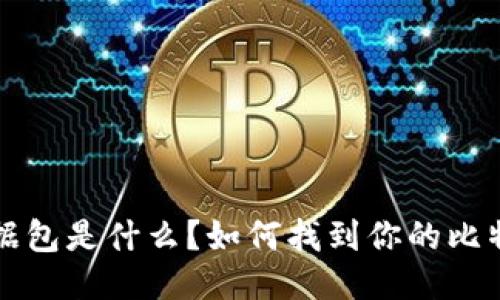 比特币钱包数据包是什么？如何找到你的比特币钱包数据包
