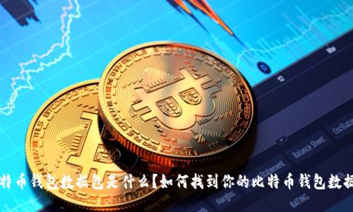 比特币钱包数据包是什么？如何找到你的比特币钱包数据包