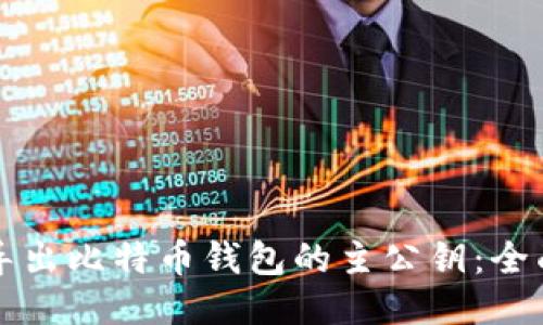 如何导出比特币钱包的主公钥：全面指南
