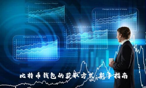 比特币钱包的获取方式：新手指南
