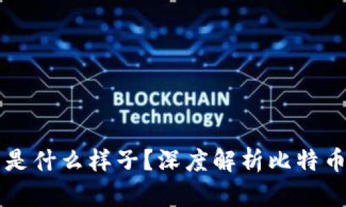 钱包里比特币是什么样子？深度解析比特币及其钱包功能