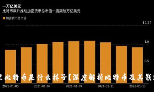 钱包里比特币是什么样子？深度解析比特币及其钱包功能