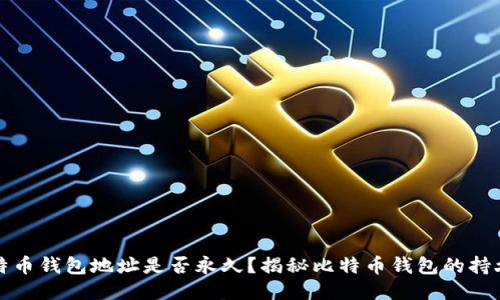 比特币钱包地址是否永久？揭秘比特币钱包的持久性