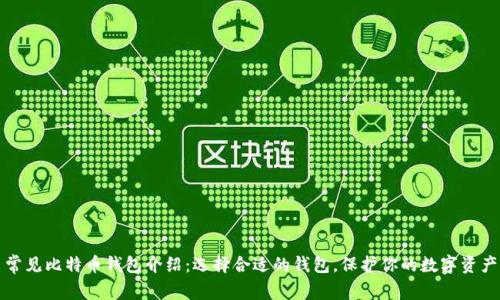 常见比特币钱包介绍:选择合适的钱包,保护你的数字资产
