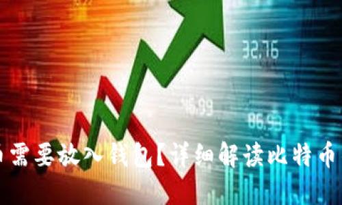 为什么比特币需要放入钱包？详细解读比特币钱包的必要性
