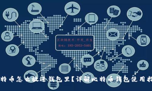 比特币怎么放进钱包里？详解比特币钱包使用指南