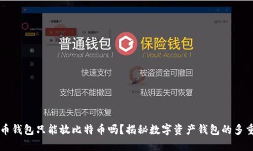 比特币钱包只能放比特币吗？揭秘数字资产钱包的多重功能