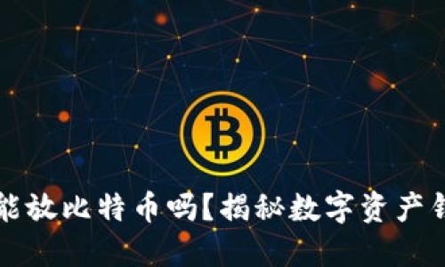 比特币钱包只能放比特币吗？揭秘数字资产钱包的多重功能