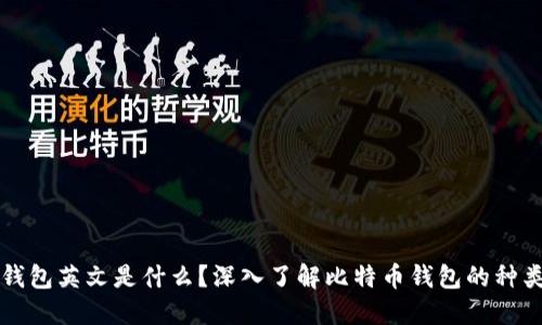 比特币钱包英文是什么？深入了解比特币钱包的种类与功能