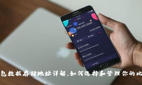 比特币钱包数据存储地址详解，如何选择和管理你的比特币钱包