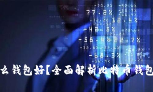 比特币用什么钱包好?全面解析比特币钱包种类与选择