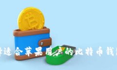 如何选择适合苹果用户的比特币钱包中文版