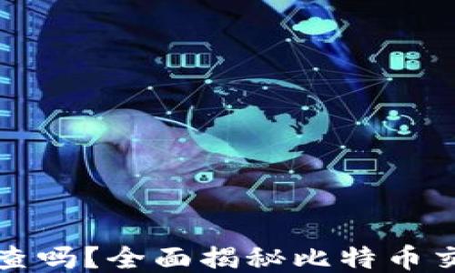 比特币钱包能追查吗?全面揭秘比特币交易的隐私与安全