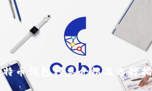 比特币钱包种类介绍及选择指南