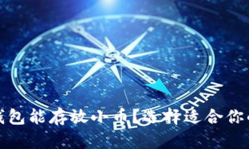 什么比特币钱包能存放小币？选择适合你的小币种钱包