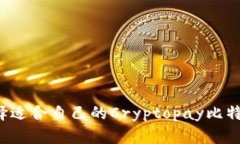 怎样选择适合自己的Cryptopay比特币钱包？