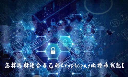 怎样选择适合自己的Cryptopay比特币钱包?