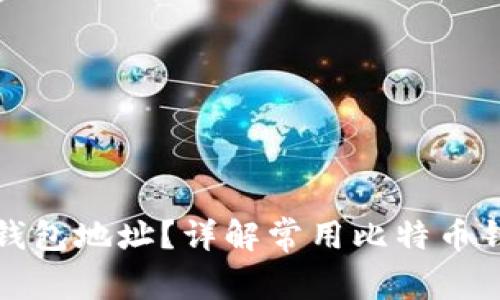 如何查询比特币钱包地址？详解常用比特币钱包地址查询网站