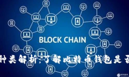 比特币钱包的种类解析：了解比特币钱包是否真的有无数个