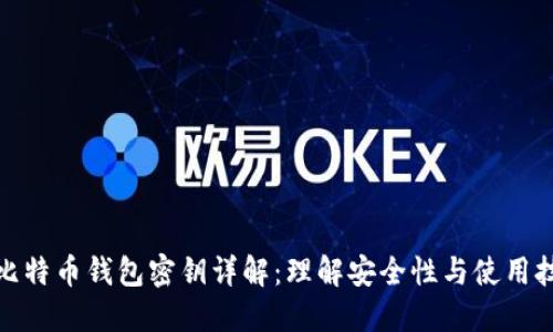: 比特币钱包密钥详解：理解安全性与使用技巧