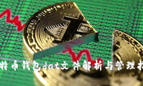 比特币钱包dat文件解析与管理指南