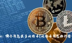 Title: 哪个钱包最多比特币？比特币钱包排行榜详