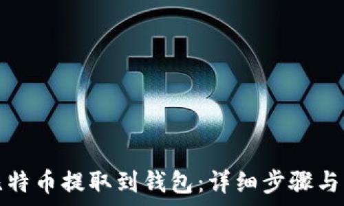   
如何将比特币提取到钱包：详细步骤与注意事项