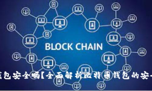 : 比特币存钱包安全吗？全面解析比特币钱包的安全性与可靠性