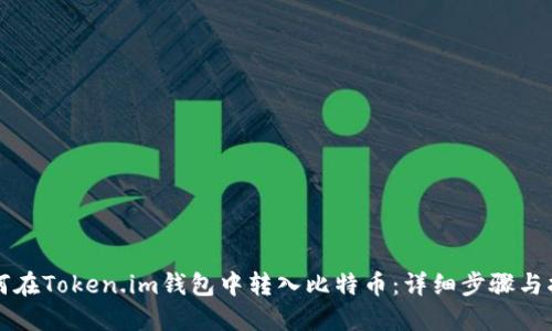 如何在Token.im钱包中转入比特币:详细步骤与指南
