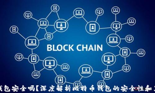 
比特币钱包安全吗？深度解析比特币钱包的安全性和黑客风险
