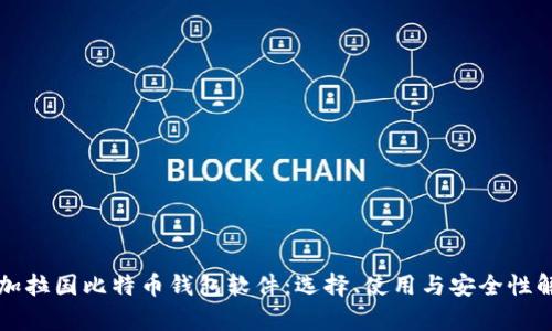 孟加拉国比特币钱包软件：选择、使用与安全性解析
