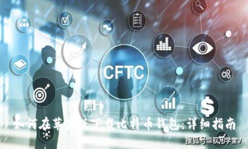 如何在苹果版下载比特币钱包：详细指南