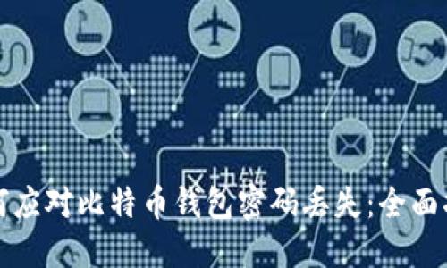 如何应对比特币钱包密码丢失:全面指南