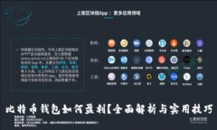 比特币钱包如何盈利？全面解析与实用技巧