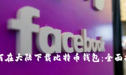 如何在大陆下载比特币钱包：全面指南