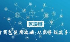 比特币官方钱包使用攻略：从新手到高手的完整
